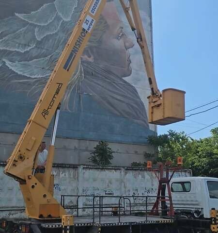 Белый Исузу НЛР, объемом двигателя 4.7 л и пробегом 112 тыс. км за 50000 $, фото 12 на Automoto.ua