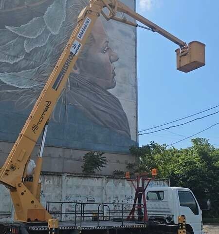 Белый Исузу НЛР, объемом двигателя 4.7 л и пробегом 112 тыс. км за 50000 $, фото 11 на Automoto.ua