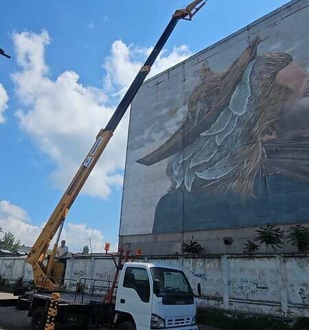 Белый Исузу НЛР, объемом двигателя 4.7 л и пробегом 112 тыс. км за 50000 $, фото 10 на Automoto.ua