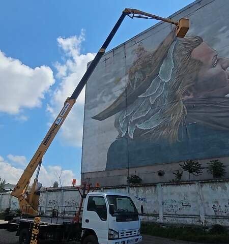 Белый Исузу НЛР, объемом двигателя 4.7 л и пробегом 112 тыс. км за 50000 $, фото 9 на Automoto.ua