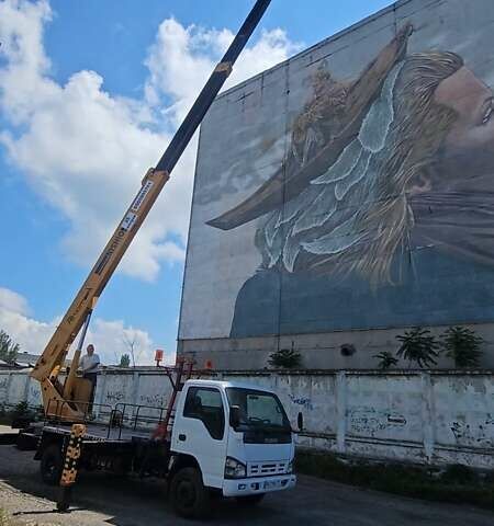 Белый Исузу НЛР, объемом двигателя 4.7 л и пробегом 112 тыс. км за 50000 $, фото 8 на Automoto.ua