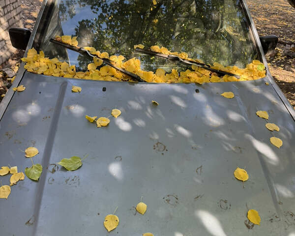 Синий Исузу Родео, объемом двигателя 2.6 л и пробегом 300 тыс. км за 1385 $, фото 1 на Automoto.ua