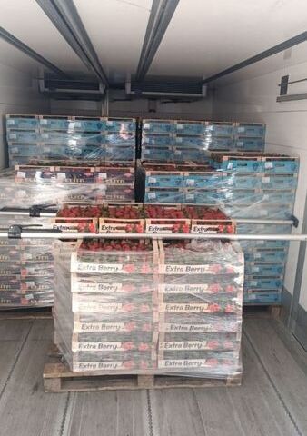 Белый Ивеко Дейли, объемом двигателя 3 л и пробегом 197 тыс. км за 33500 $, фото 3 на Automoto.ua