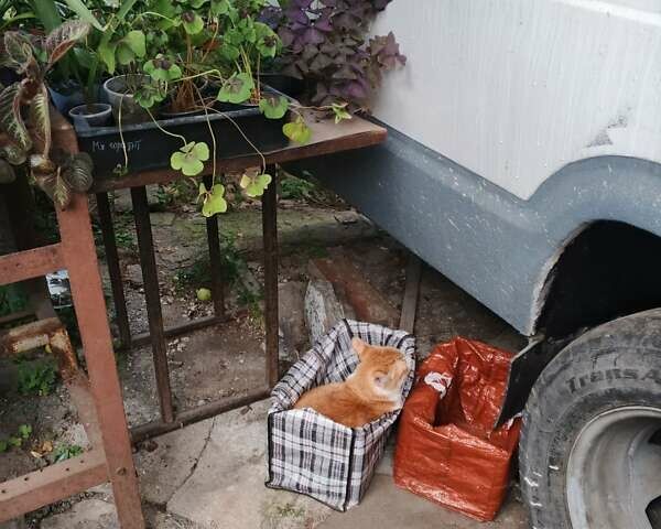 Белый Ивеко Дейли, объемом двигателя 2.8 л и пробегом 505 тыс. км за 1400 $, фото 8 на Automoto.ua