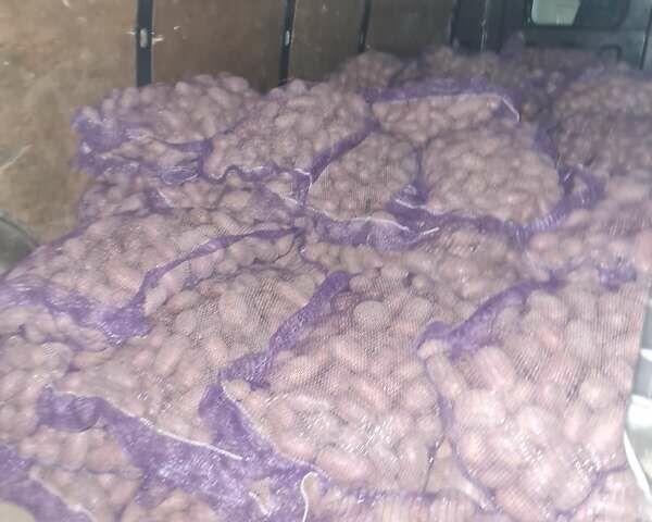 Чорний Івеко Дейлі, об'ємом двигуна 2.29 л та пробігом 356 тис. км за 8000 $, фото 12 на Automoto.ua