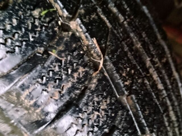 Ивеко Другая, объемом двигателя 0 л и пробегом 0 тыс. км за 7500 $, фото 1 на Automoto.ua