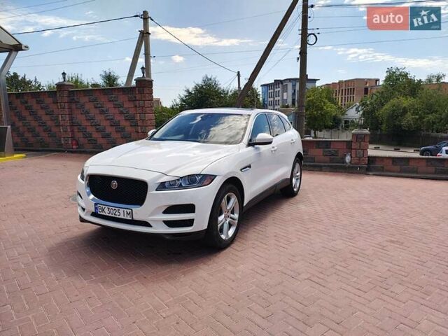 Ягуар Ф-Пейс 2019 в Ровно на Automoto.ua Белый Ягуар Ф-Пейс, объемом двигателя 2 л и пробегом 93 тыс. км за 19500 $, фото 1 на Automoto.ua