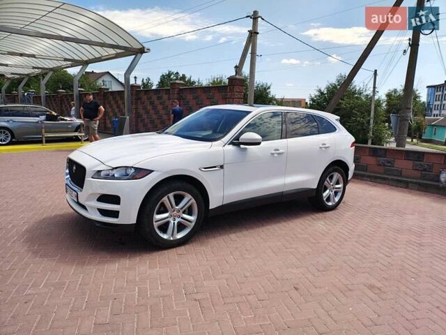 Ягуар Ф-Пейс 2019 в Ровно на Automoto.ua Белый Ягуар Ф-Пейс, объемом двигателя 2 л и пробегом 93 тыс. км за 19500 $, фото 3 на Automoto.ua