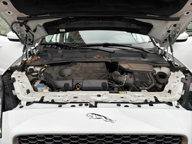 Белый Ягуар Ф-Пейс, объемом двигателя 2 л и пробегом 42 тыс. км за 27999 $, фото 22 на Automoto.ua