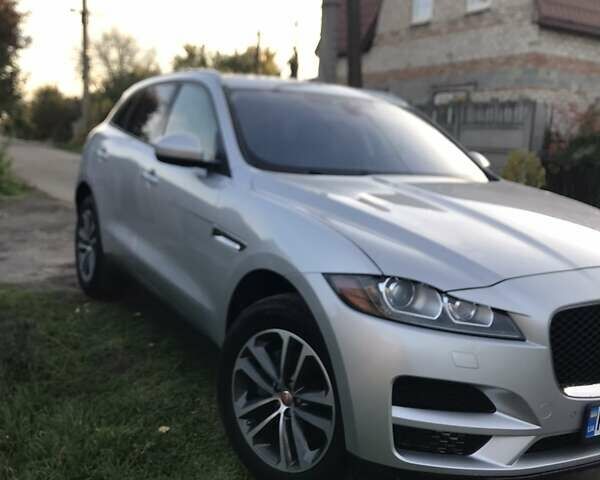 Ягуар Ф-Пейс 2017 у Кривому Розі на Automoto.ua Ягуар Ф-Пейс, об'ємом двигуна 2 л та пробігом 170 тис. км за 19800 $, фото 5 на Automoto.ua