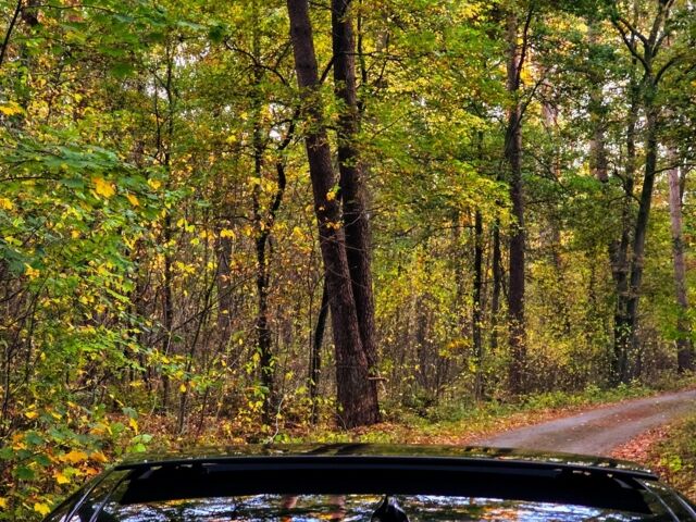 Чорний Ягуар ХФР, об'ємом двигуна 2 л та пробігом 110 тис. км за 20282 $, фото 18 на Automoto.ua