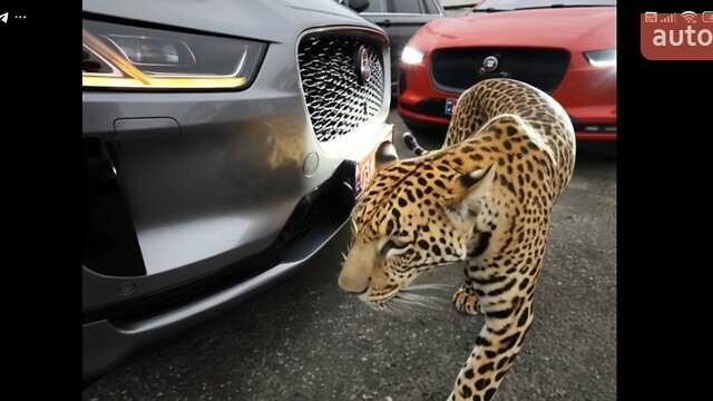 Серый Ягуар I-Pace, объемом двигателя 0 л и пробегом 140 тыс. км за 29999 $, фото 16 на Automoto.ua