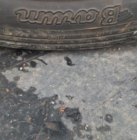 ЯВА Другая, объемом двигателя 0 л и пробегом 0 тыс. км за 999 $, фото 6 на Automoto.ua