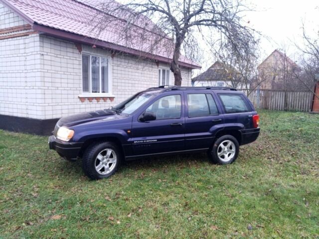 Фиолетовый Джип Чероки, объемом двигателя 3.1 л и пробегом 320 тыс. км за 6500 $, фото 3 на Automoto.ua