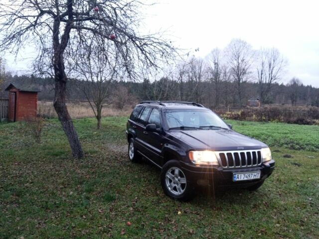 Фиолетовый Джип Чероки, объемом двигателя 3.1 л и пробегом 320 тыс. км за 6500 $, фото 7 на Automoto.ua