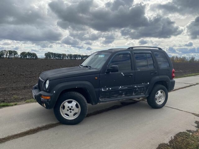 Джип Чероки 2002 в Золотоноше на Automoto.ua Серый Джип Чероки, объемом двигателя 2.5 л и пробегом 220 тыс. км за 3700 $, фото 4 на Automoto.ua