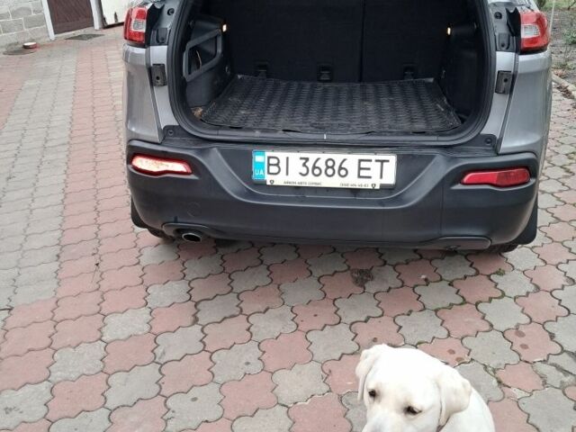 Серый Джип Чероки, объемом двигателя 2.4 л и пробегом 129 тыс. км за 14350 $, фото 6 на Automoto.ua