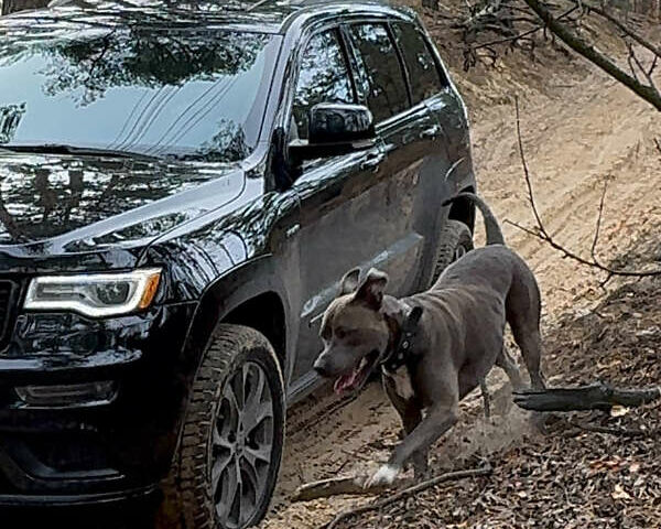 Черный Джип Гранд Чероки, объемом двигателя 5.65 л и пробегом 86 тыс. км за 35000 $, фото 5 на Automoto.ua
