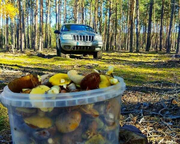 Джип Grand Cherokee, об'ємом двигуна 4.7 л та пробігом 323 тис. км за 7700 $, фото 7 на Automoto.ua