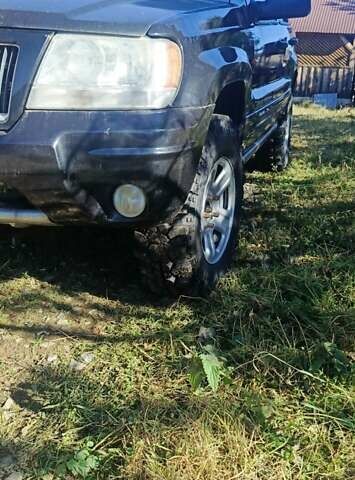 Джип Гранд Чероки 2003 в Буковеле на Automoto.ua Джип Гранд Чероки, объемом двигателя 2.69 л и пробегом 247 тыс. км за 7500 $, фото 2 на Automoto.ua