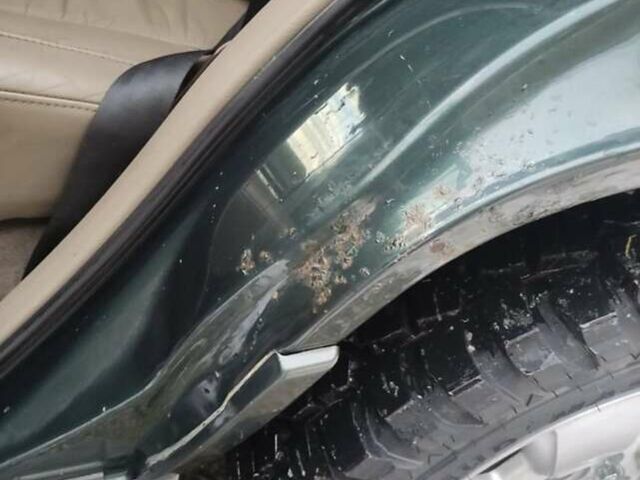 Зелений Джип Grand Cherokee, об'ємом двигуна 2.7 л та пробігом 279 тис. км за 2832 $, фото 16 на Automoto.ua