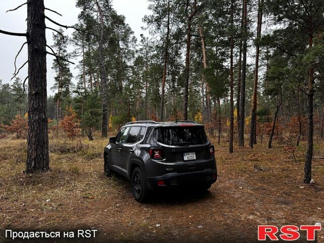 Серый Джип Ренегат, объемом двигателя 2.4 л и пробегом 56 тыс. км за 16200 $, фото 7 на Automoto.ua