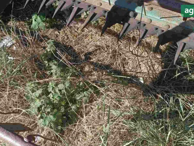 Джон Дір 1055, об'ємом двигуна 0 л та пробігом 0 тис. км за 16000 $, фото 3 на Automoto.ua