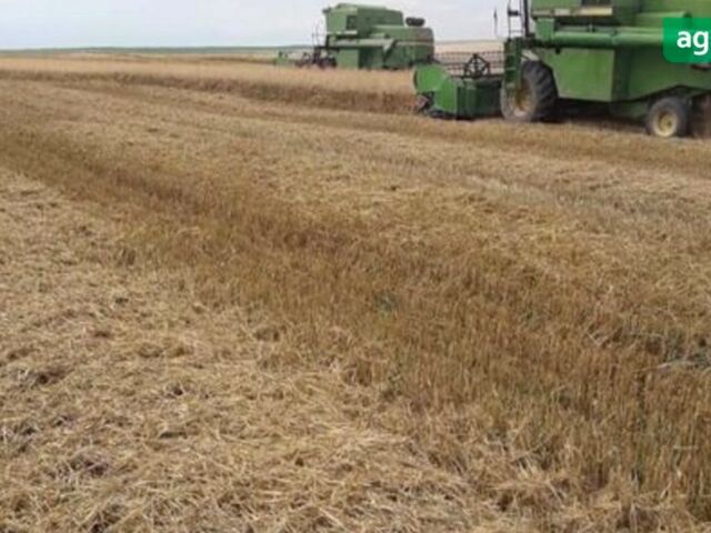 Джон Дір 1065, об'ємом двигуна 0 л та пробігом 0 тис. км за 24500 $, фото 3 на Automoto.ua