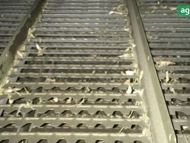 Джон Дір 1072 1983 у Золотоноше на Automoto.ua Джон Дір 1072, об'ємом двигуна 0 л та пробігом 0 тис. км за 24500 $, фото 4 на Automoto.ua