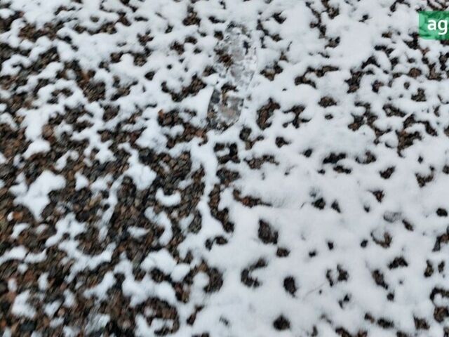 Джон Дир 4830 2008 в Белой Церкве на Automoto.ua Джон Дир 4830, объемом двигателя 0 л и пробегом 0 тыс. км за 159000 $, фото 7 на Automoto.ua