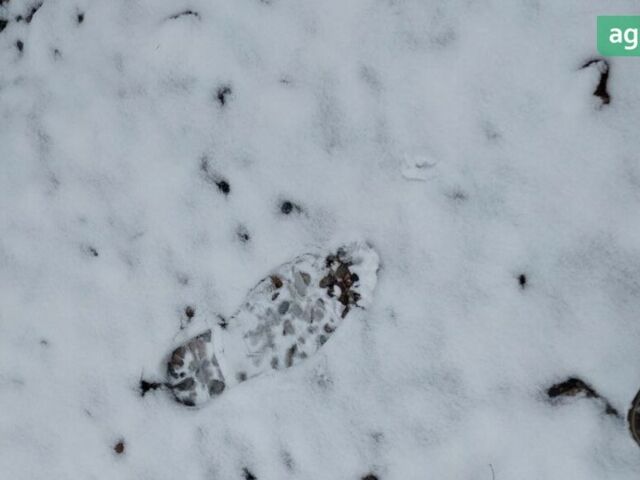 Джон Дир 4830, объемом двигателя 0 л и пробегом 0 тыс. км за 225000 $, фото 7 на Automoto.ua