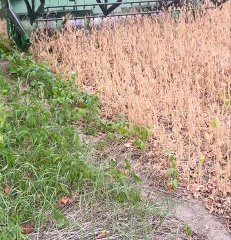 Джон Дир Другая, объемом двигателя 0.77 л и пробегом 4 тыс. км за 24700 $, фото 5 на Automoto.ua