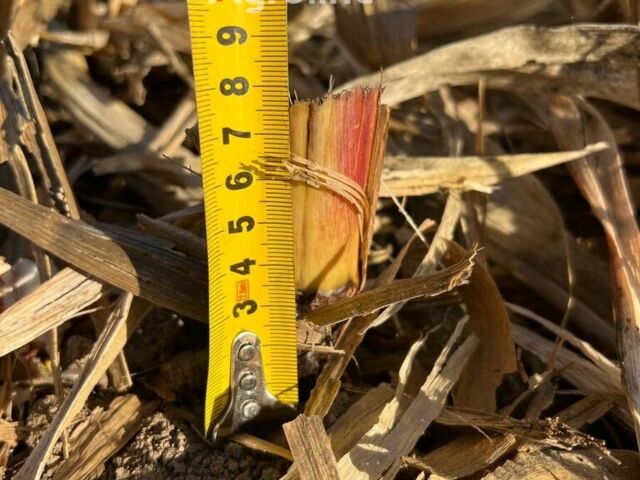 Зеленый Джон Дир Другая, объемом двигателя 0 л и пробегом 0 тыс. км за 20948 $, фото 19 на Automoto.ua