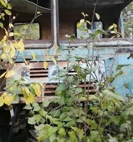 Синий КАЗ 4540, объемом двигателя 8 л и пробегом 7 тыс. км за 598 $, фото 7 на Automoto.ua