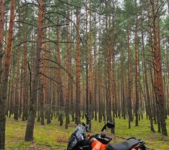 КТМ 6510, об'ємом двигуна 0.39 л та пробігом 0 тис. км за 5500 $, фото 4 на Automoto.ua