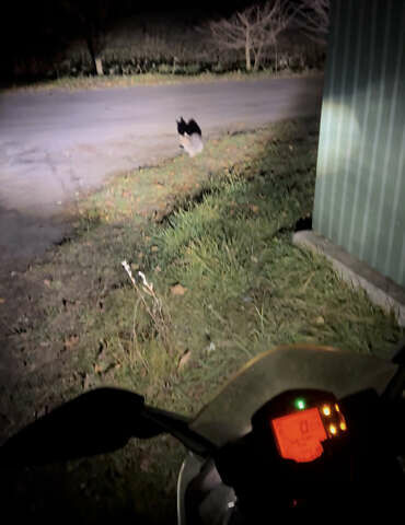 Белый КТМ RC 390, объемом двигателя 0.37 л и пробегом 30 тыс. км за 3333 $, фото 4 на Automoto.ua