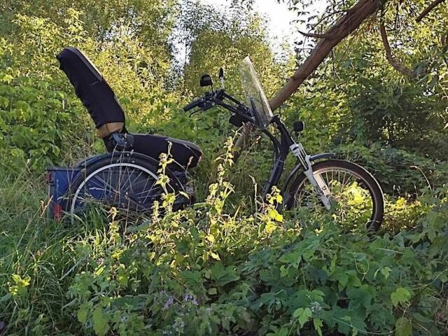 КамАЗ 4310, об'ємом двигуна 10.85 л та пробігом 0 тис. км за 48000 $, фото 7 на Automoto.ua