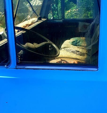 КамАЗ 55102, об'ємом двигуна 10.5 л та пробігом 0 тис. км за 8000 $, фото 2 на Automoto.ua