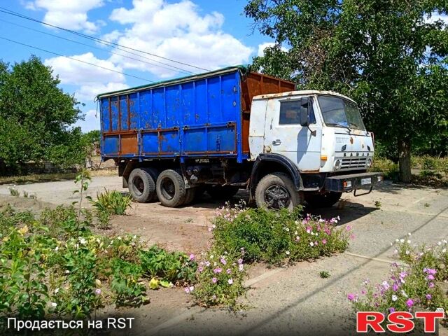 КамАЗ 55102, объемом двигателя 10.9 л и пробегом 100 тыс. км за 4100 $, фото 1 на Automoto.ua