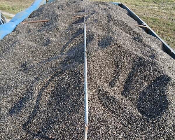 КамАЗ 55102, об'ємом двигуна 0 л та пробігом 202 тис. км за 11700 $, фото 20 на Automoto.ua