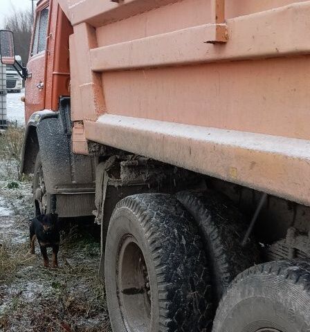 КамАЗ 55111, объемом двигателя 0 л и пробегом 0 тыс. км за 7250 $, фото 5 на Automoto.ua