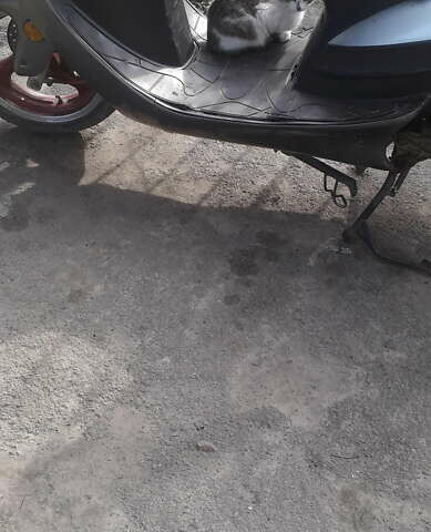 Кануні Рєволт 2007 у Первомайськ на Automoto.ua Зелений Кануні Рєволт, об'ємом двигуна 0.08 л та пробігом 1 тис. км за 500 $, фото 5 на Automoto.ua