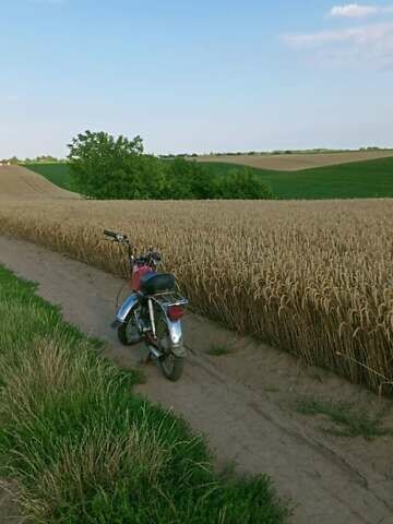 Червоний Карпати В-50, об'ємом двигуна 0.05 л та пробігом 27 тис. км за 180 $, фото 11 на Automoto.ua