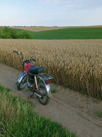 Оранжевый Карпаты В-50, объемом двигателя 0.05 л и пробегом 27 тыс. км за 213 $, фото 6 на Automoto.ua