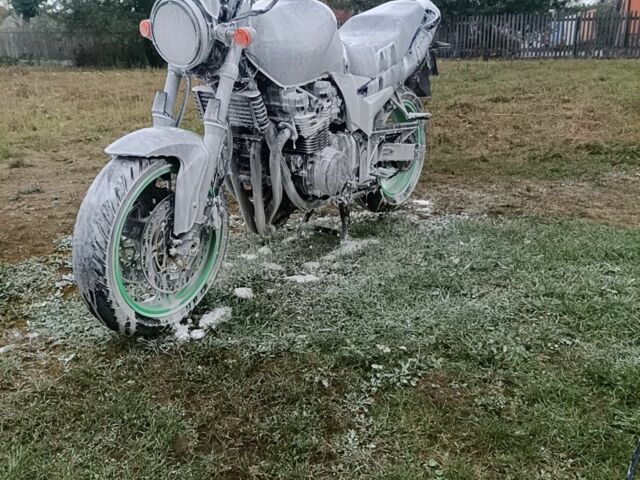 Кавасаки Другая, объемом двигателя 0.75 л и пробегом 0 тыс. км за 1450 $, фото 4 на Automoto.ua