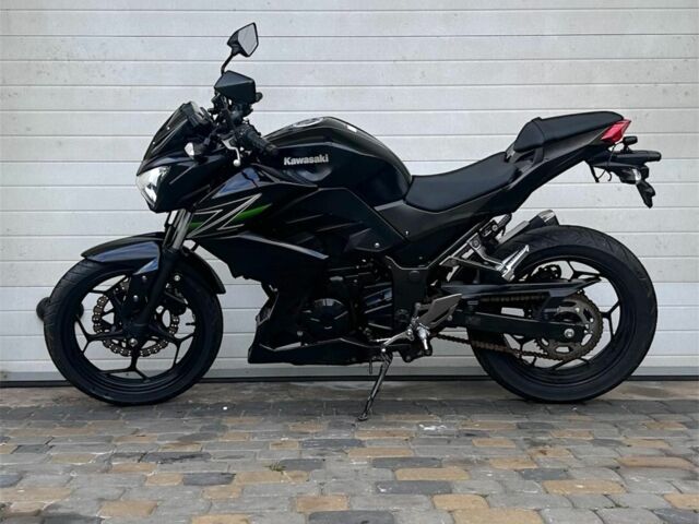 Кавасаки Другая, объемом двигателя 0.25 л и пробегом 0 тыс. км за 3500 $, фото 2 на Automoto.ua