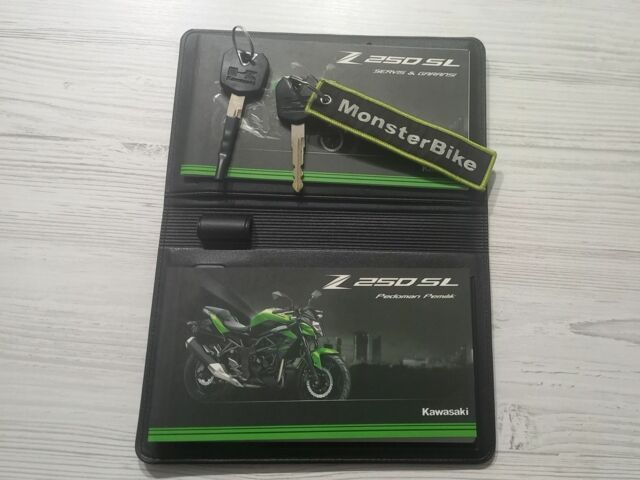 Кавасакі Інша, об'ємом двигуна 0.25 л та пробігом 0 тис. км за 3100 $, фото 4 на Automoto.ua