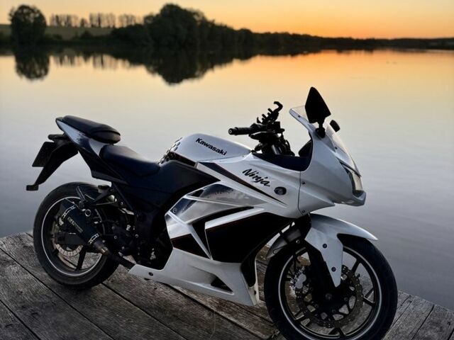 Кавасакі Інша, об'ємом двигуна 0.25 л та пробігом 0 тис. км за 2036 $, фото 4 на Automoto.ua