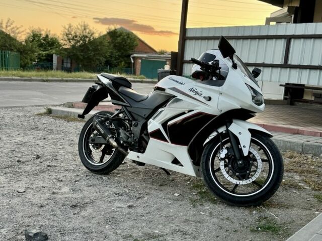 Кавасакі Інша, об'ємом двигуна 0.25 л та пробігом 0 тис. км за 2036 $, фото 5 на Automoto.ua