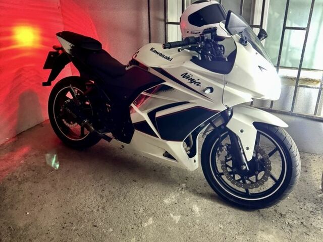 Кавасакі Інша, об'ємом двигуна 0.25 л та пробігом 0 тис. км за 2036 $, фото 1 на Automoto.ua